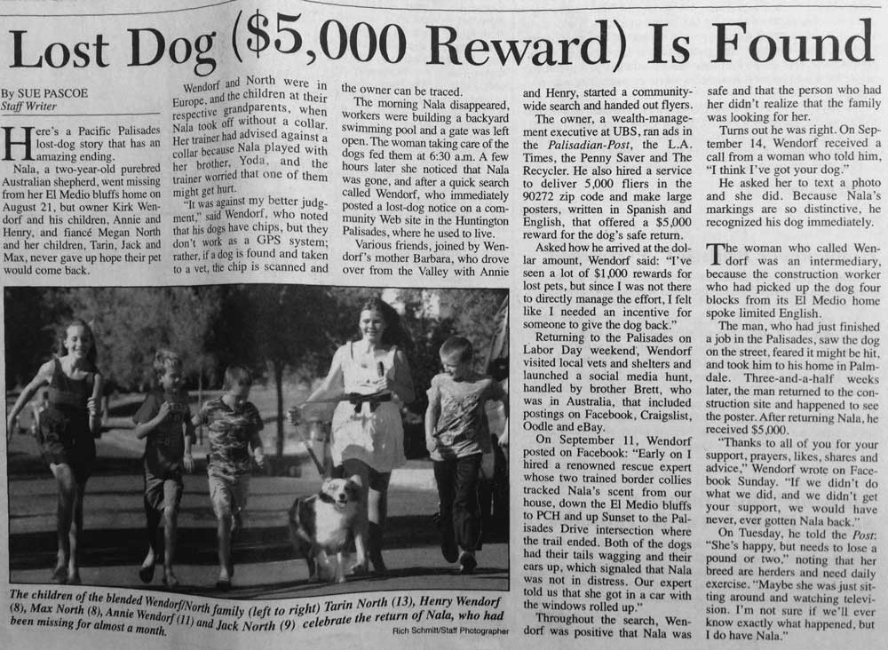 Found Doggy Found!