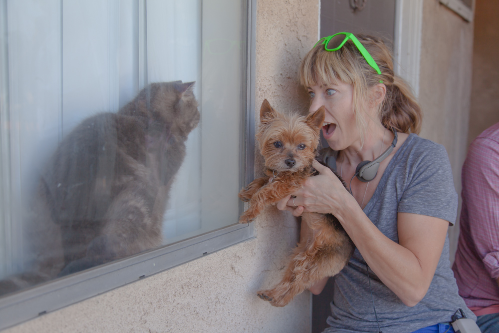 Director, Kasi Brown measures her Teacup Yorkie Laila to a giant playful cat.