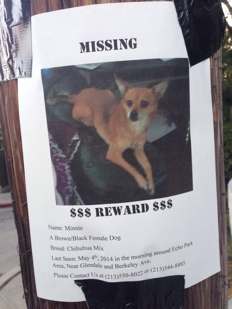 Minnie missing