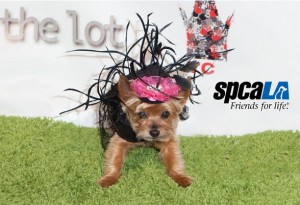Laila rocks the green carpet Gaga Style