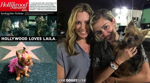 Hollywood loves Laila: Kasi Brown and Miley Cyrus