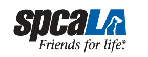 Film starring Yorkie selects spcaLA as charity partner